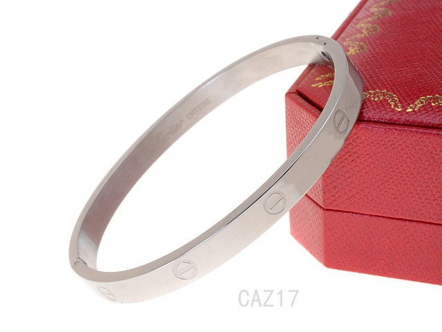 Cartier Bangle-017