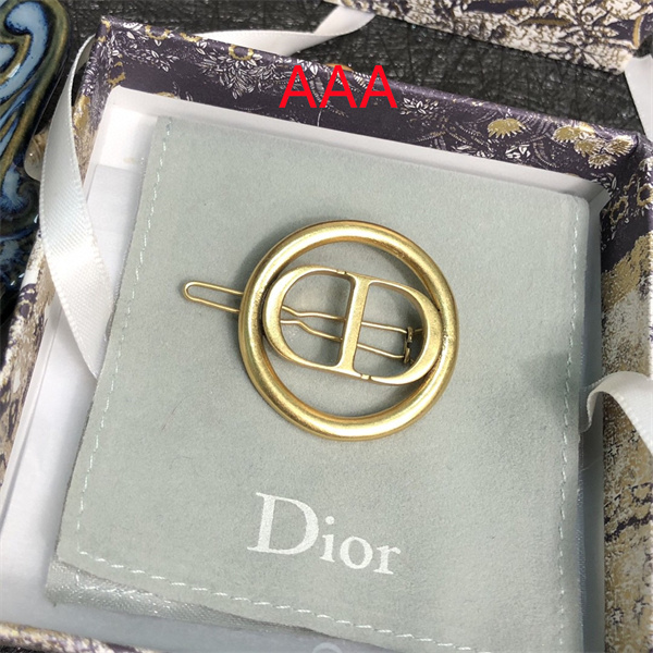 Dior Hairpin-011