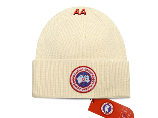 Beanies(AA)-0220