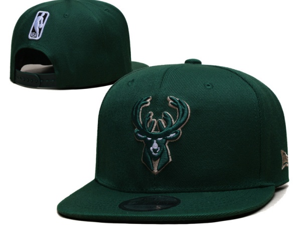 NBA Snapbacks(2)-0111