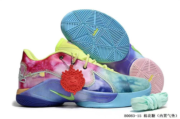 Lebron James 22-M-0026