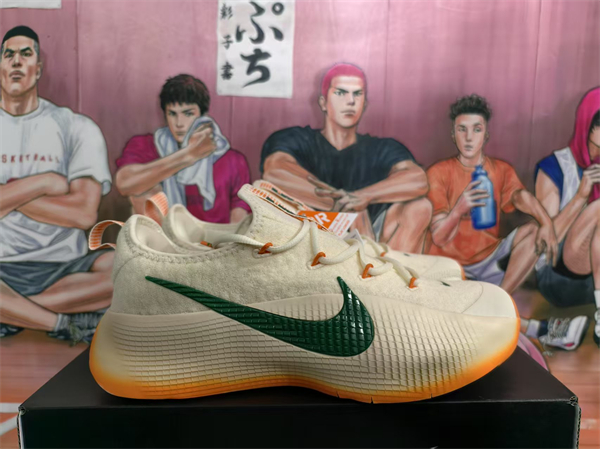 Nike LeBron TR 1-0010