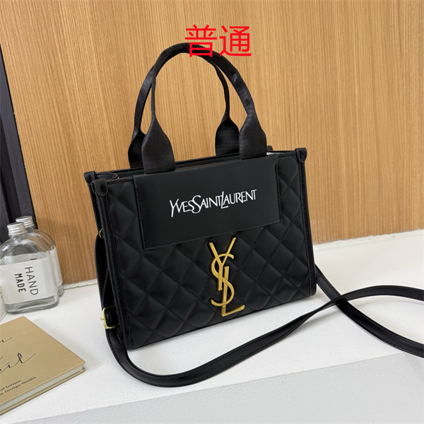 YSL small bag-0489
