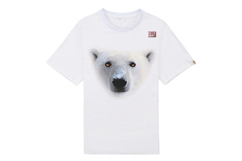 NFL T-shirt-M(10)-370