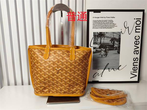 Goyard bag-0039