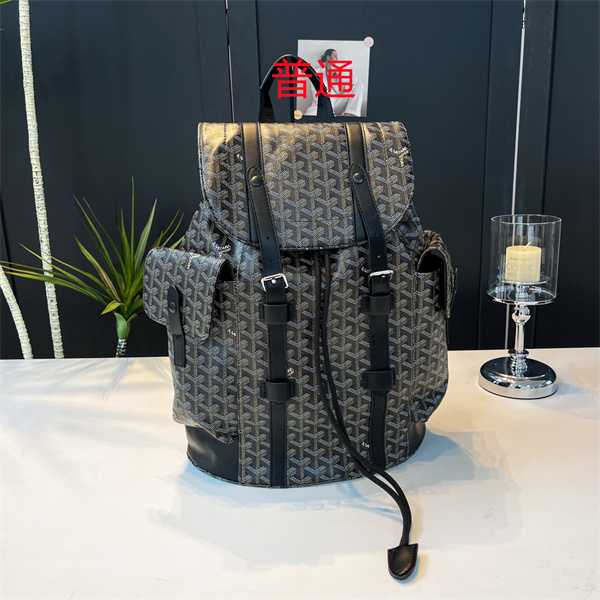 Goyard bag-0050