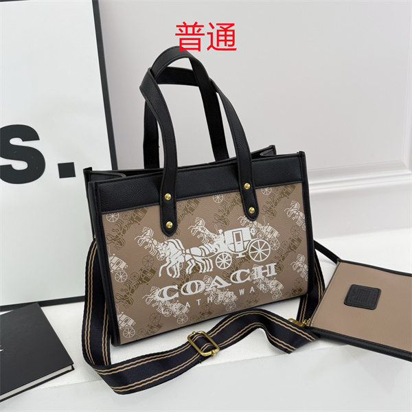 Coach bag-0628