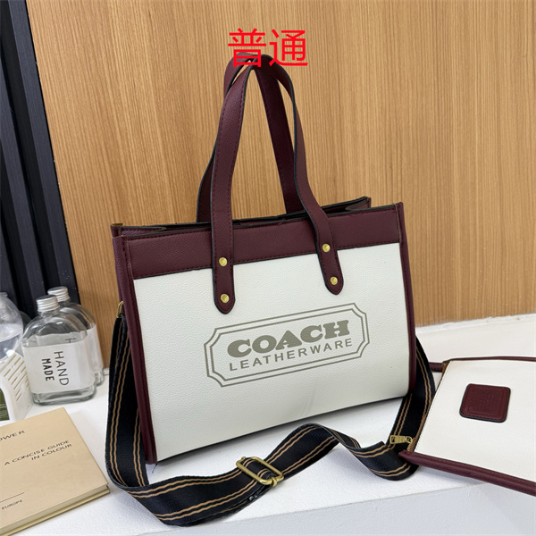 Coach bag-0630