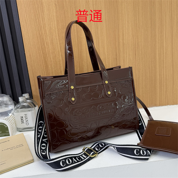 Coach bag-0645