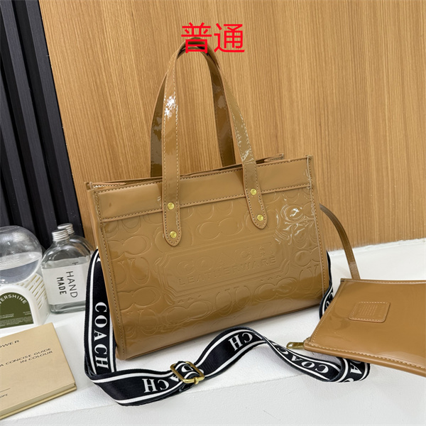 Coach bag-0652