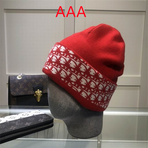 Dior Beanies(AAA)-027