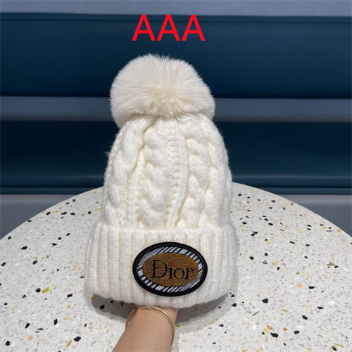 Dior Beanies(AAA)-033
