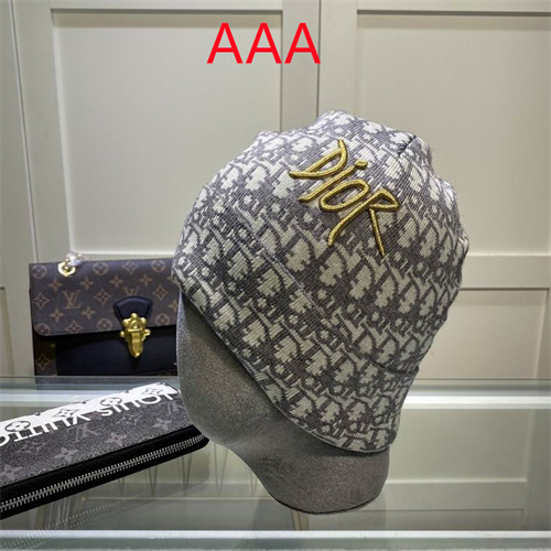 Dior Beanies(AAA)-039