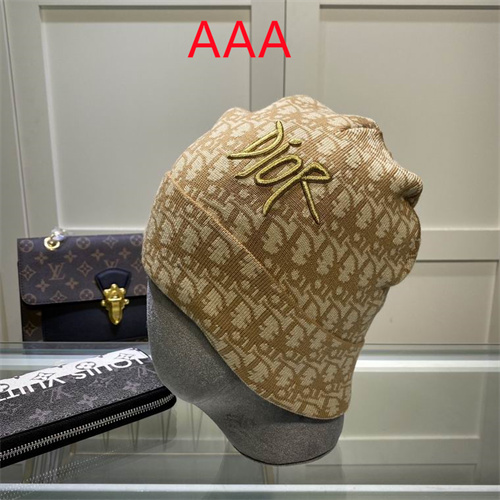 Dior Beanies(AAA)-040