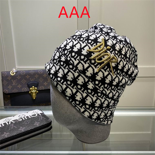 Dior Beanies(AAA)-041