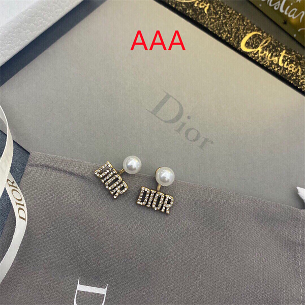 Dior Earrings-322