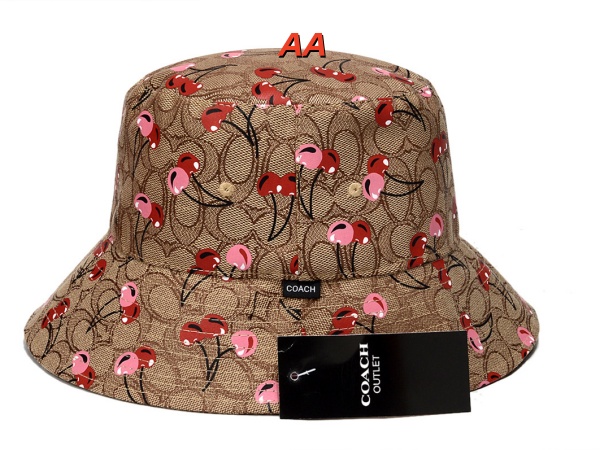 COACH Snapbacks(AA)-0014