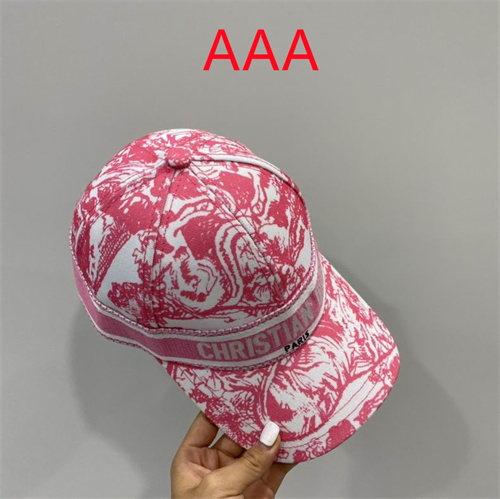 Dior-Cap(AAA)-173