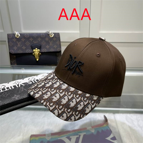 Dior-Cap(AAA)-176