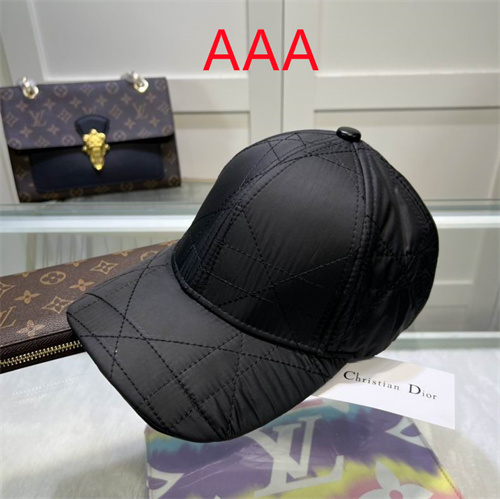 Dior-Cap(AAA)-185