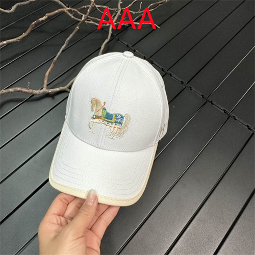 Hermes-Cap(AAA)-069