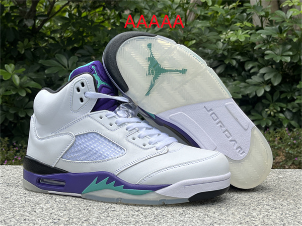 Jordan5(AAAAA)-M-053