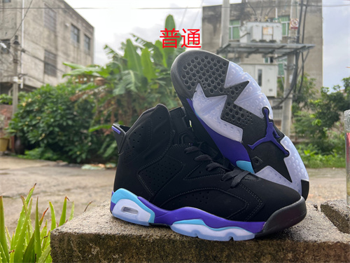 Jordan6-W-0028