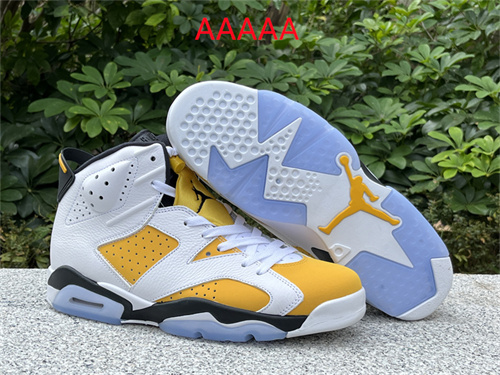 Jordan6(AAAAA)-M-040
