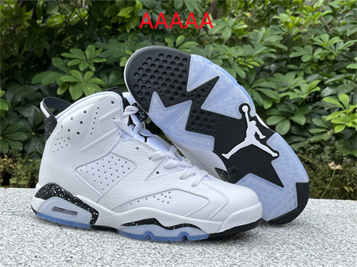 Jordan6(AAAAA)-M-041