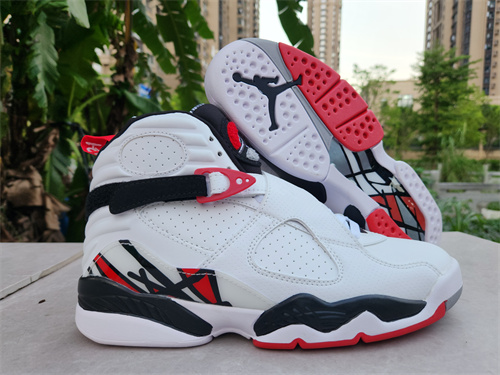 Jordan8-0028