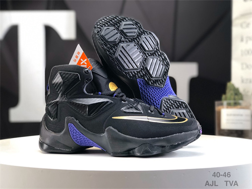 Lebron James 13-M-003