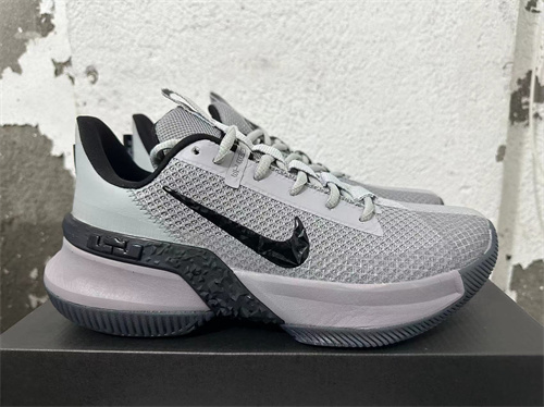 Lebron Ambassador 12-M-0014