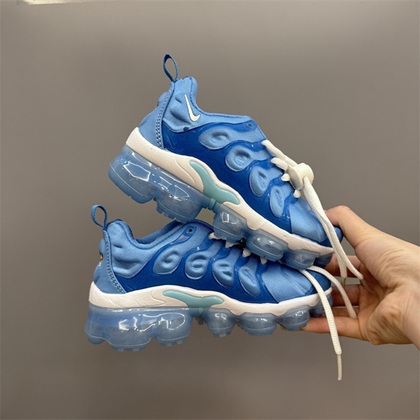 Nike Air VaporMax PLUS(Kids)-0022