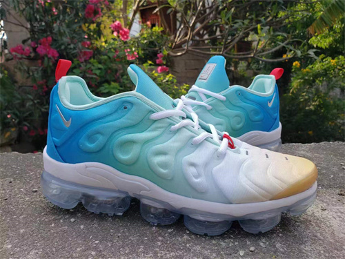 Nike Air VaporMax PLUS-M-079