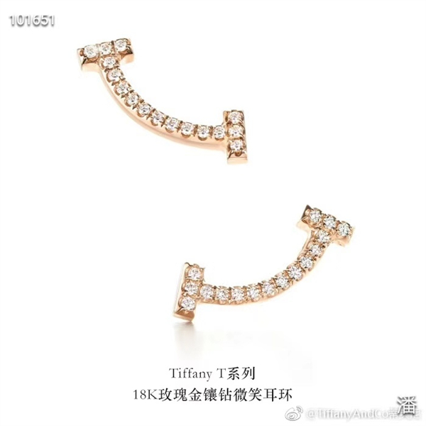 Tiffany Earrings-057
