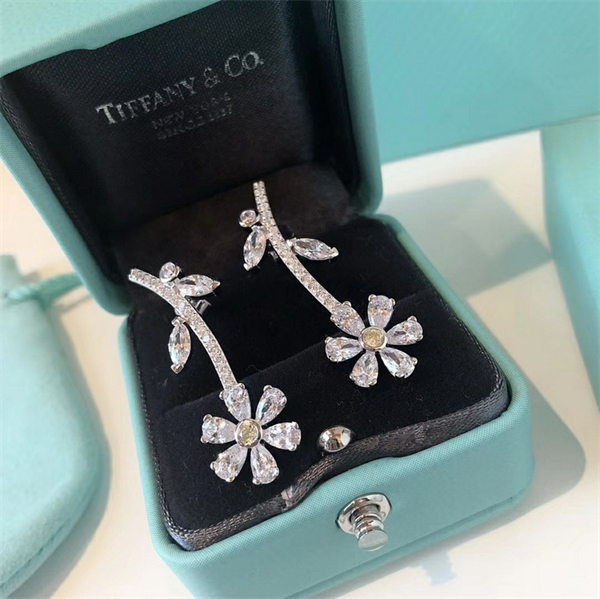 Tiffany Earrings-072