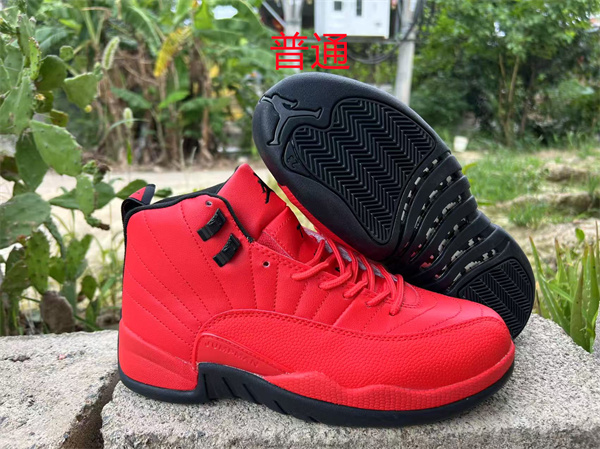 Jordan12-M-0055